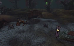 Crusader Forward Camp