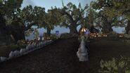 Tol Barad Peninsula 003