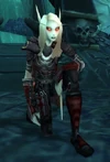 Dark Ranger Loralen