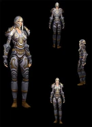 Human paladin in Righteous Armor