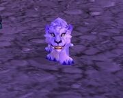 Winterspring cub.jpg