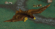 Duskwing Eagle2.jpg