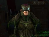 Gladiator's Vestments