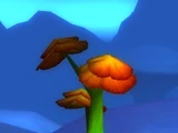 Bogblossom