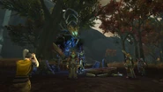 Kul Tiras woods and a Drust golem.