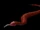 Crimson Snake