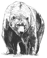 A dire bear seen in 