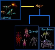 Speculation: The evolution of the Aqir