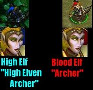 HighBloodElfArcher