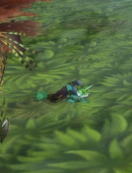 Injured Assault Volunteer