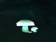 Ghost Mushroom.jpg