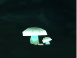 Ghost Mushroom