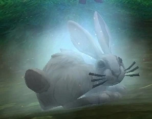 Dust Bunny | WoWWiki | Fandom