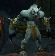 Worgen (Pre-Cataclysm)