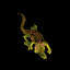 Skink