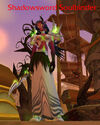 Shadowsword Soulbinder
