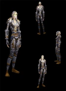 Blood elf paladin in Righteous Armor