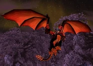 Black Drake Mount.jpg (121 KB) Black Drake