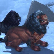 Yao, one of Reclaimer Zuan's beloved quilen hounds