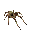 Venom spider