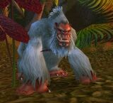 Elder Mistvale Gorilla