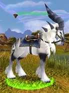 White Riding Talbuk.jpg (54 KB) White Riding Talbuk