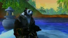 A Pandaren Monk meditating