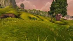 The Sunsoaked Meadow