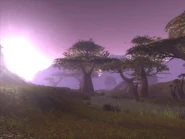 Wetlands.jpg (71 KB) A sunset over the Wetlands.