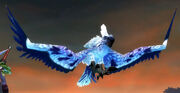 Smallpet-Miniwing