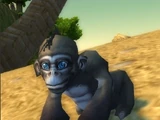 Baby Ape