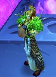 Blood elf druid