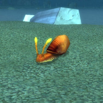 Shimmershell Snail