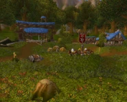 Eastvale Logging Camp