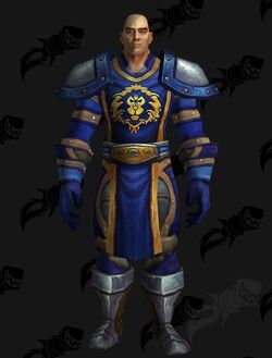 797200-stormwind-guard-mail-leather.jpg
