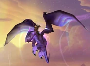 Violet Netherwing Drake