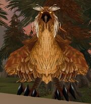 Fjord Hawk.jpg