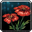 Inv misc herb rainpoppy
