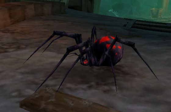 Black widow spider wow