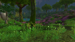OrchisHollow