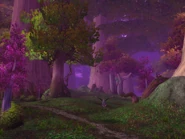 A Teldrassil glade.