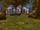 Garden (Stormwind Keep)