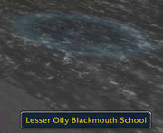 Lesser Oily Blackmouth School