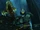 Dark Zealot