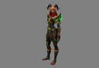 DH BE Armor Female 03 PNG