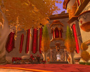 The northern section of the Bazaar is the location of the tailoring trainer, the fireworks and one of the three armor vendors.