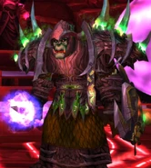 Before using the service.