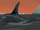 Orca