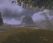 Wetlands during the rainy season.