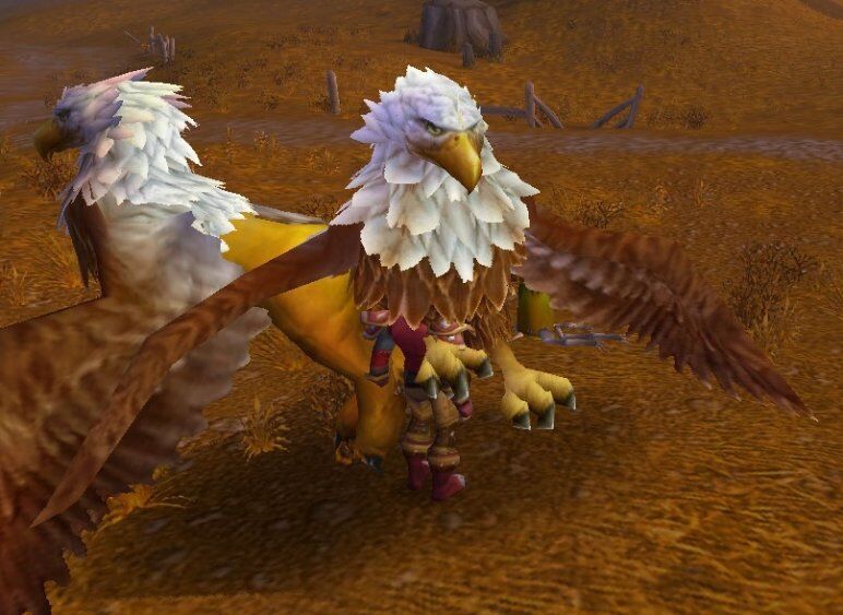 flying gryphon